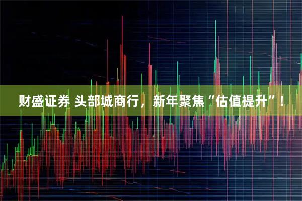 财盛证券 头部城商行，新年聚焦“估值提升”！
